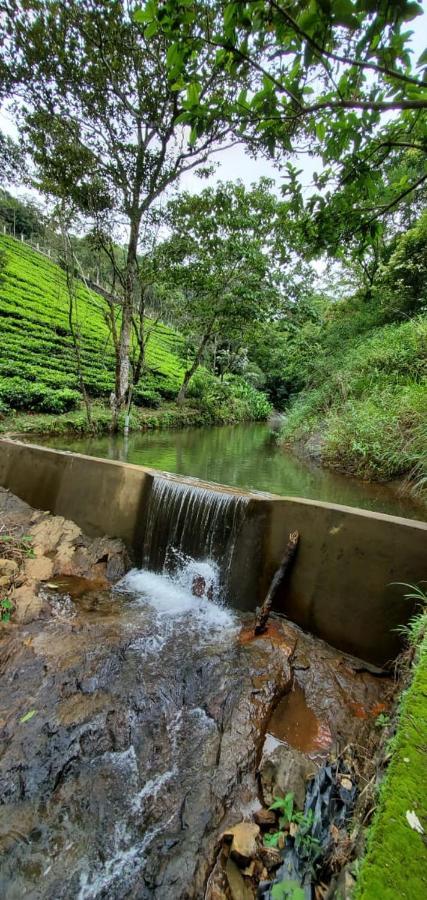 Idam Resort Vagamon Ngoại thất bức ảnh